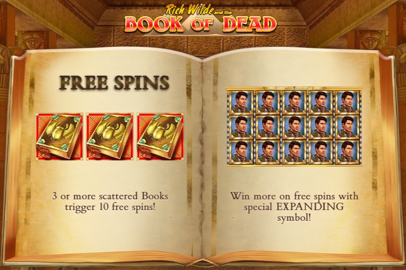 Welcome splash screen of Book of Dead slot machine from Play'n Go