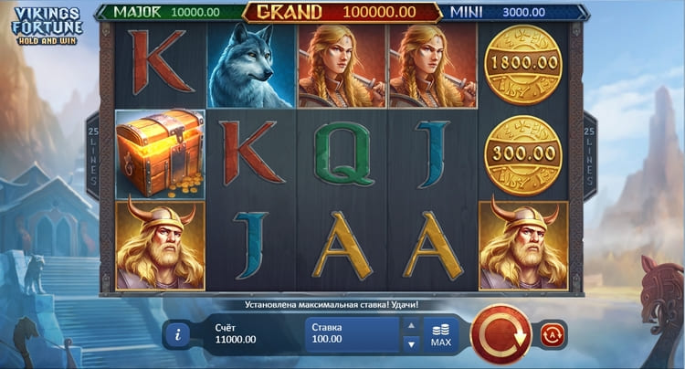 Vikings Fortune: Hold and Win video slot splash screen